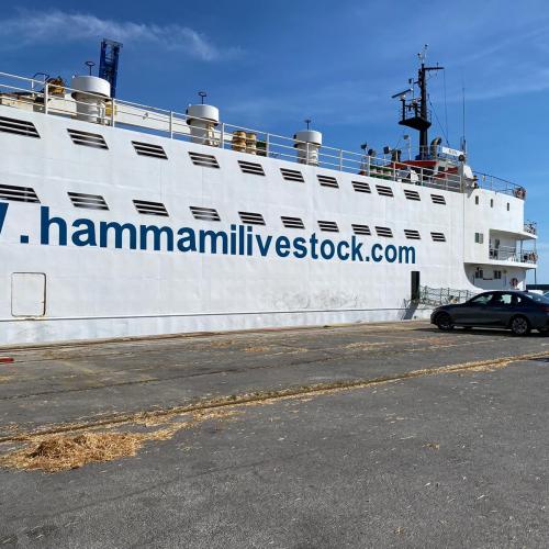 Ship transport