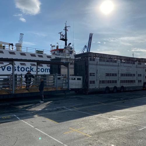 Truck transport